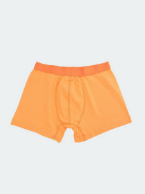 Набор трусов Trendyol Boxer модель TMNAW22BX0017/Cok Renkli Фото