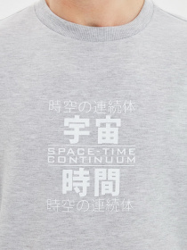 Світшот Trendyol модель TMNAW22SW0407/Gri Фото