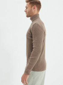 Водолазка Trendyol модель TMNAW20MG0031/Vizon Фото