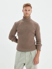 Водолазка Trendyol модель TMNAW20MG0031/Vizon Фото