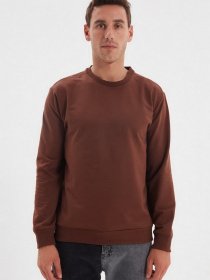 Свитшот Trendyol модель TMNAW20SW0164/Kahverengi Фото