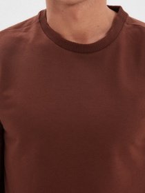 Свитшот Trendyol модель TMNAW20SW0164/Kahverengi Фото