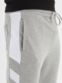 Штаны спортивные Trendyol модель TMNAW22EA0219/Gri Фото