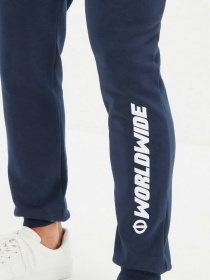 Штаны спортивные Trendyol модель TMNAW22EA0299/Lacivert Фото