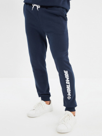 Штаны спортивные Trendyol модель TMNAW22EA0299/Lacivert Фото