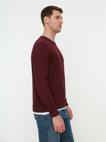 Свитшот Trendyol модель TMNAW22SW0658/Bordo Фото