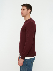 Світшот Trendyol модель TMNAW22SW0658/Bordo Світшот Trendyol модель TMNAW22SW0658/Bordo Фото