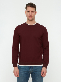 Світшот Trendyol модель TMNAW22SW0658/Bordo Світшот Trendyol модель TMNAW22SW0658/Bordo Фото