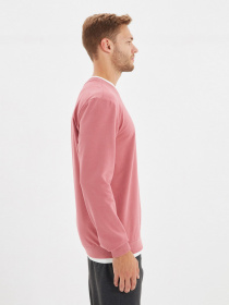 Світшот Trendyol модель TMNAW22SW0658/Gul Kurusu Фото