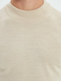 Джемпер Trendyol модель TMNAW21KZ0758/Bej Фото