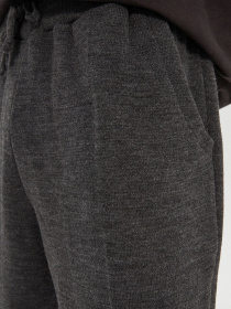 Джоггеры Trendyol модель TMNAW22PL0001/Antrasit Фото