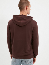 Худи Trendyol модель TMNAW20SW0262/Kahverengi Фото