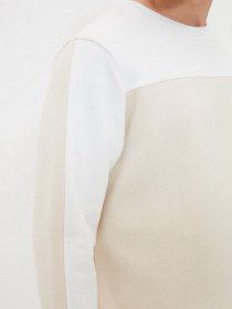 Свитшот Trendyol модель TMNAW21SW1016/Bej Фото