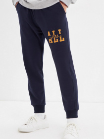 Штаны спортивные Trendyol модель TMNAW22EA0111/Lacivert Фото