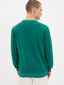 Свитшот Trendyol модель TMNAW22SW0592/Yesil Свитшот Trendyol модель TMNAW22SW0592/Yesil Фото