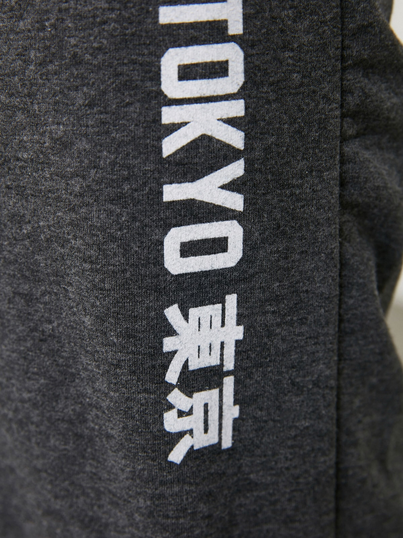 Штаны спортивные Trendyol модель TMNAW20EA0124/Antrasit Фото