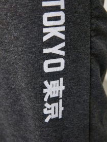 Штаны спортивные Trendyol модель TMNAW20EA0124/Antrasit Фото