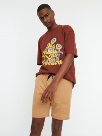 Шорты Trendyol модель TMNSS20SR0070/Camel Фото