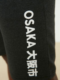 Шорты Trendyol модель TMNSS20SR0121/Antrasit Фото