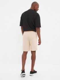 Шорты Trendyol модель TMNSS21SR0194/Bej Фото