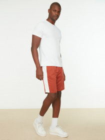 Шорти Trendyol модель TMNSS21SR0305/Kiremit Фото