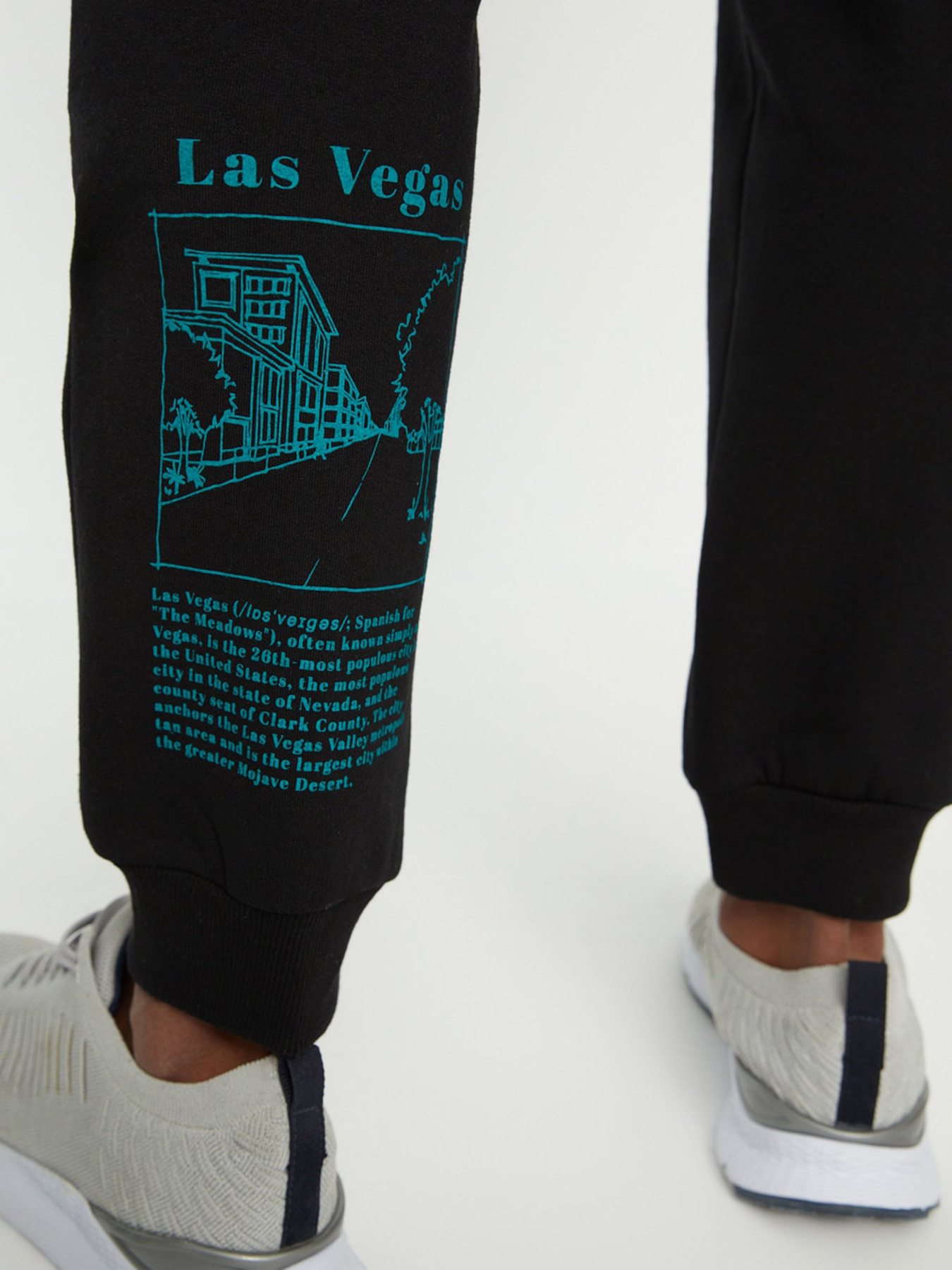 Штаны спортивные Trendyol модель TMNSS22EA0100/Siyah Фото