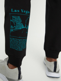 Штаны спортивные Trendyol модель TMNSS22EA0100/Siyah Фото