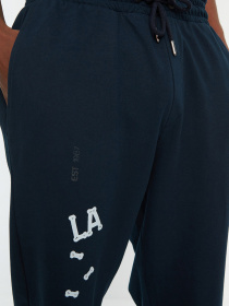 Спортивні штани Trendyol модель TMNSS22EA0118/Lacivert Фото