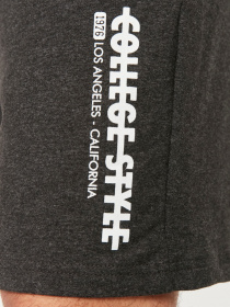 Шорти Trendyol модель TMNSS22SR0266/Antrasit Фото