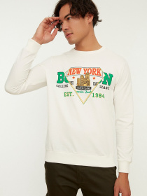 Свитшот Trendyol модель TMNAW22SW0108/Ekru Фото