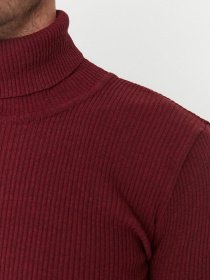 Водолазка Trendyol модель TMNAW20MG0031/Bordo Фото