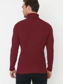 Водолазка Trendyol модель TMNAW20MG0031/Bordo Фото