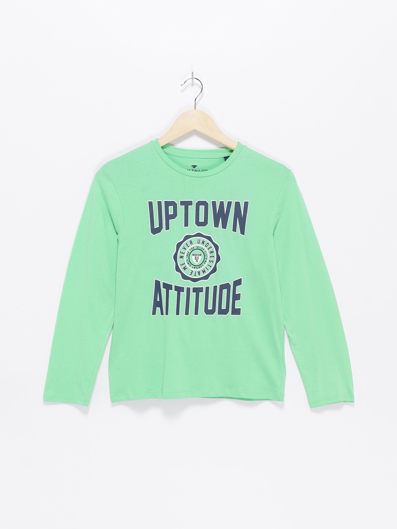 Лонгслив Tom Tailor модель 10908010030_зелений комб. Фото