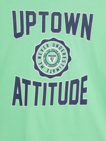 Лонгслив Tom Tailor модель 10908010030_зелений комб. Фото