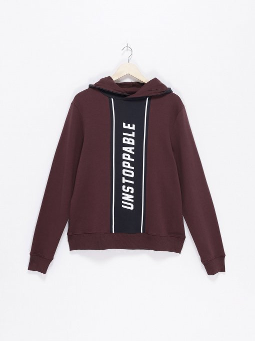 Худі Tom Tailor модель 25910080030_т.коричневий з т.синім Фото