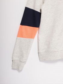 Вітровка Tom Tailor модель 25912040030_с.сірий комб. Фото