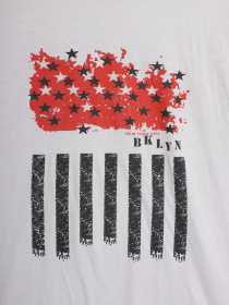 Футболка Tom Tailor модель TT22032056_сірий комб. Футболка Tom Tailor модель TT22032056_сірий комб. Фото