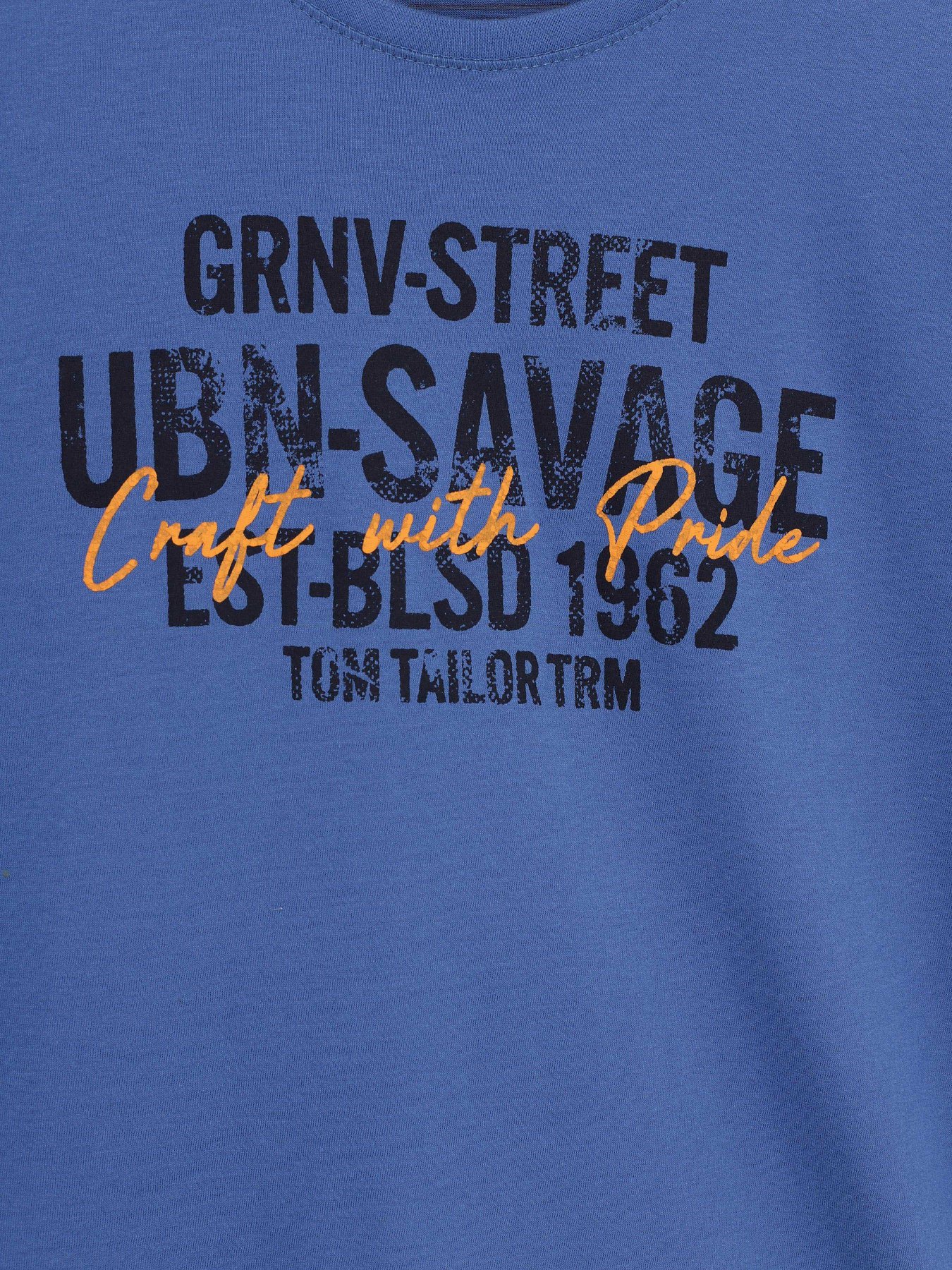 Футболка Tom Tailor модель 1007610.XX.10_синій комб. Фото