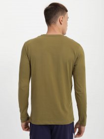 Лонгслив Tom Tailor модель 1017075.XX.12_хакі комб. Фото