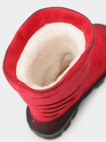 Сапоги Alisa Line модель А 501-36 Фото