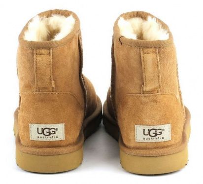 Сапоги и ботфорты UGG модель 5854-CHE — фото 5 - INTERTOP