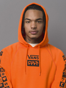 Худи Vans Versa модель VN0A3HPZ9J61 Фото