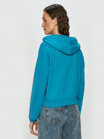 Худи Vans Kaye Crop Hoodie модель VN0A4S9P4AW1 Фото