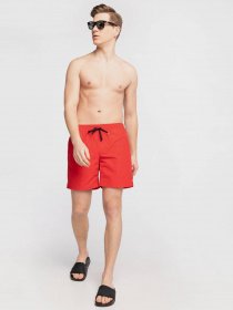 Шорти Vans Primary Volley модель VN0A49R54PV1 Фото