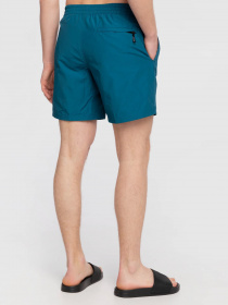 Шорты для плавания Vans Primary Volley модель VN0A49R51QQ1 Фото