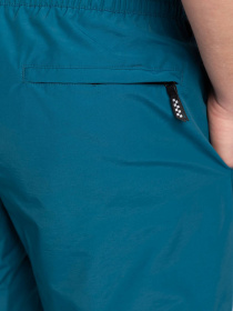 Шорты для плавания Vans Primary Volley модель VN0A49R51QQ1 Фото