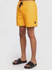 Шорти Vans Primary Volley модель VN0A49R5Z6F1 Фото