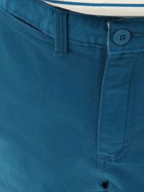 Повседневные шорты Vans Authentic Stretch модель VN0A5FEC1QQ1 Повседневные шорты Vans Authentic Stretch модель VN0A5FEC1QQ1 Фото