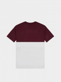 Футболка Vans Colorblock модель VN0A3CZDKJN1 Фото