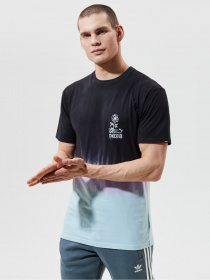 Футболки і поло Vans NEW AGE TIE DYE модель VN0A54C208V1 Футболки і поло Vans NEW AGE TIE DYE модель VN0A54C208V1 Фото